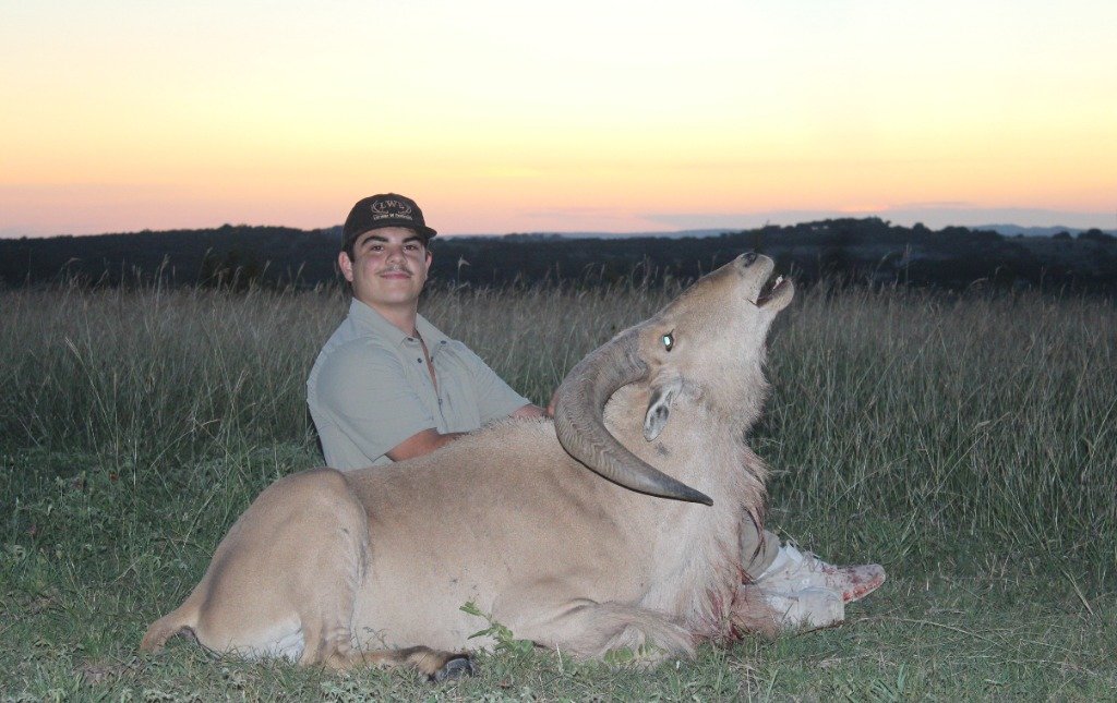 Young hunter smiling beside trophy Aoudad ram at Texas sunset