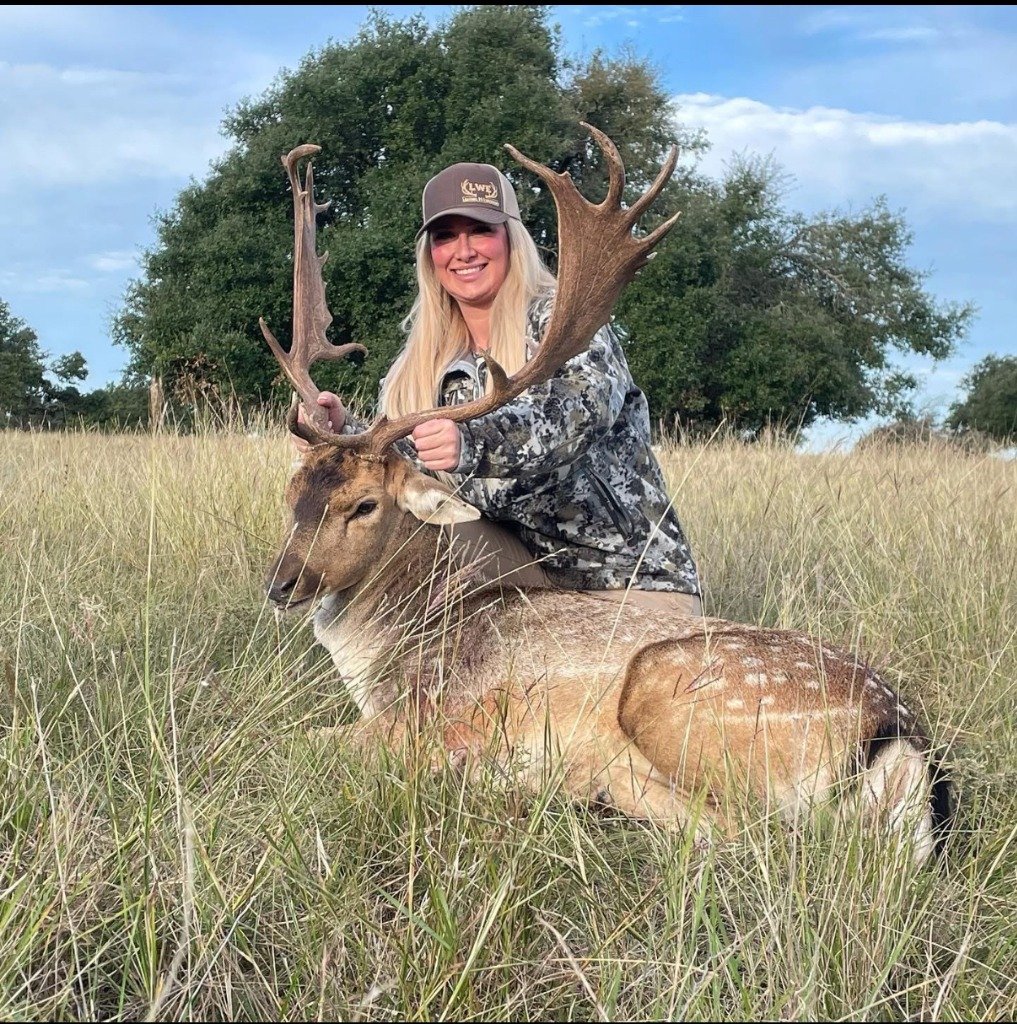 Huntress holding wide antlers of trophy spotted Fallow Deer stag in tall pasture grass