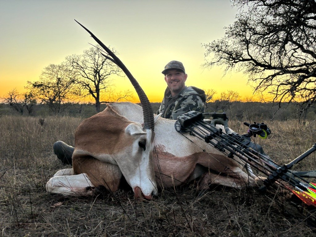 Hunter resting with trophy Scimitar-horned Oryx and compound bow at golden hour